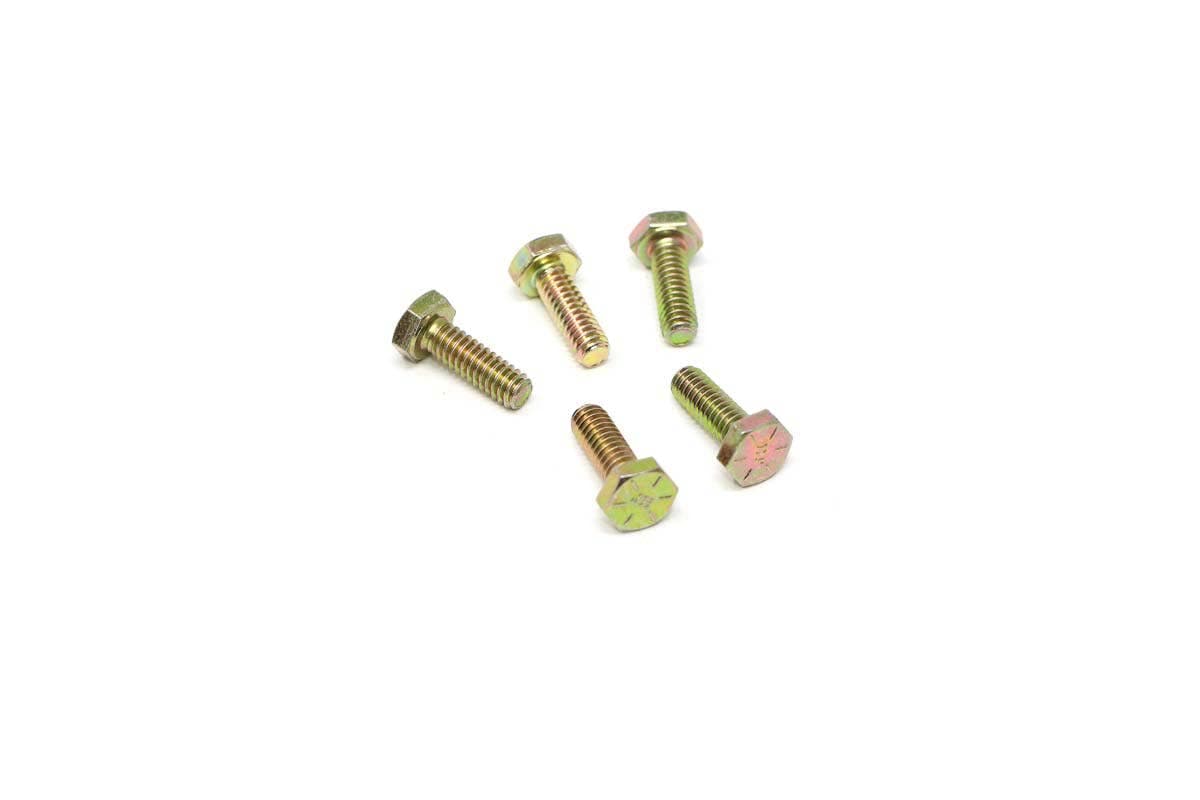 Screw Hex Cap