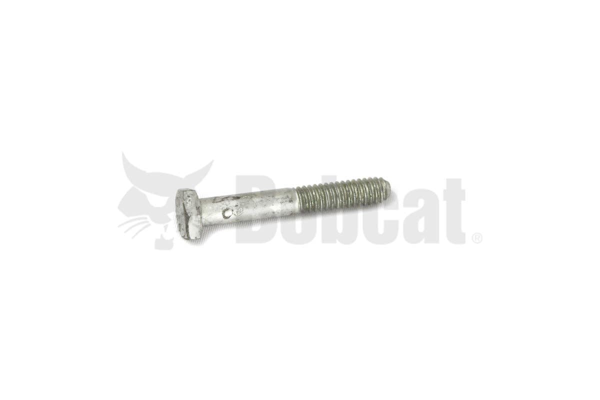 Screw Hex Cap
