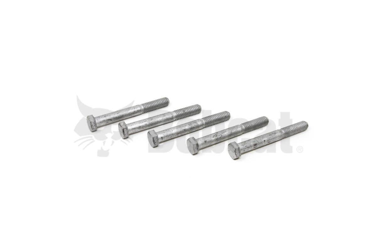 Screw Hex Cap