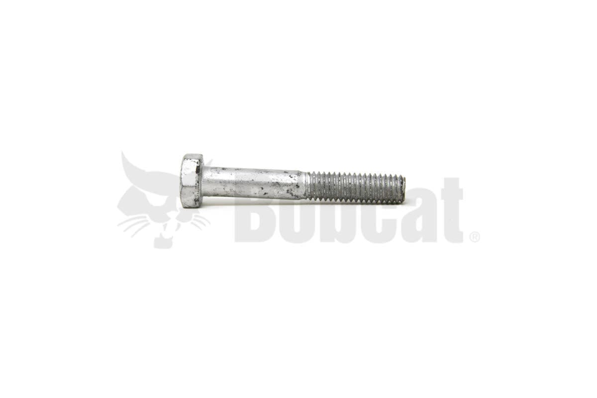 Screw Hex Cap