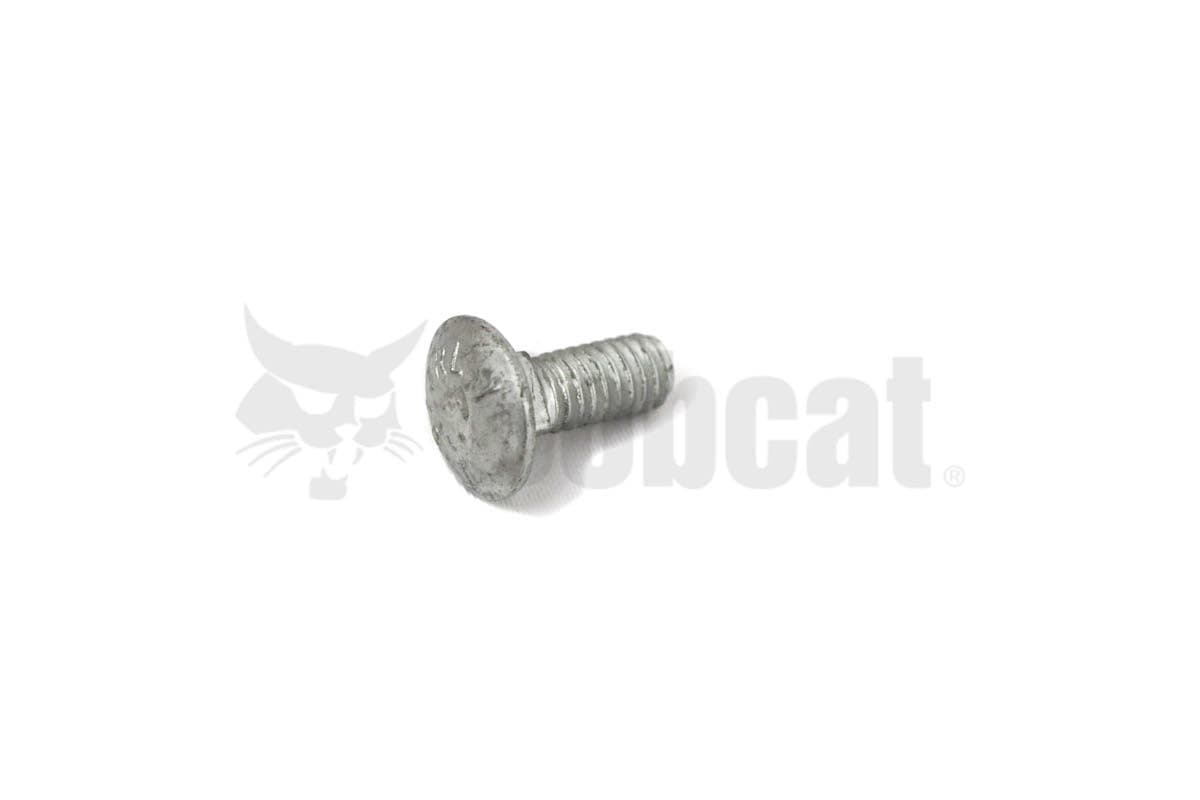 Bolt Sq Neck Rnd Hd