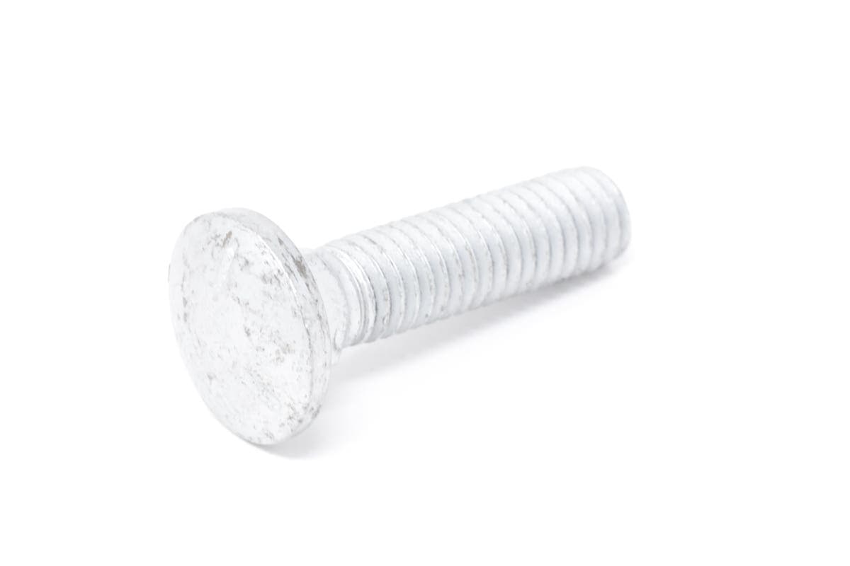 Bolt Sq Neck Rnd Hd