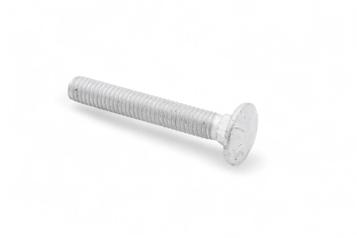 Bolt Sq Neck Rnd Hd
