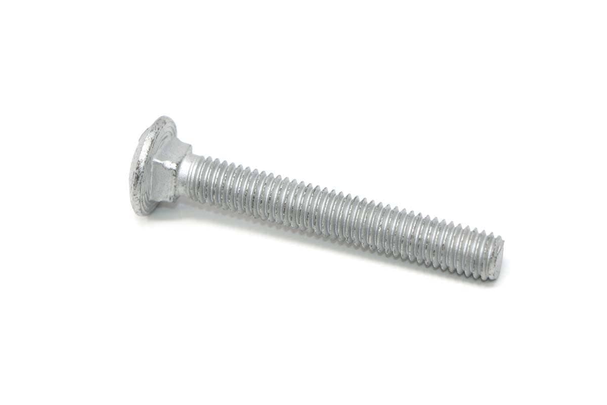 Bolt Sq Neck Rnd Hd