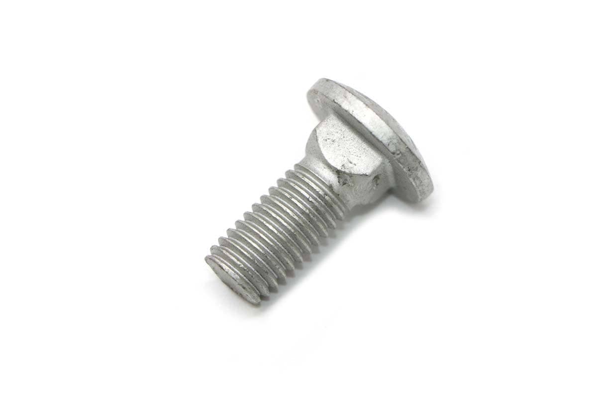 Bolt Sq Neck Rnd Hd