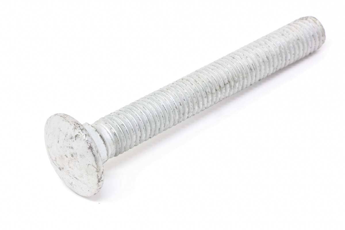 Bolt Sq Neck Rnd Hd