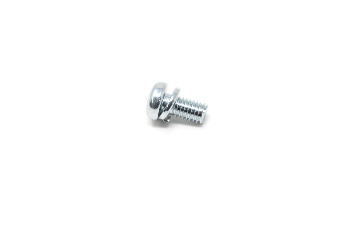 Screw