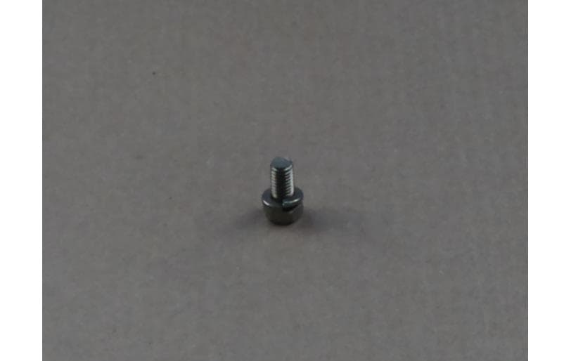Bolt Hex W/ws