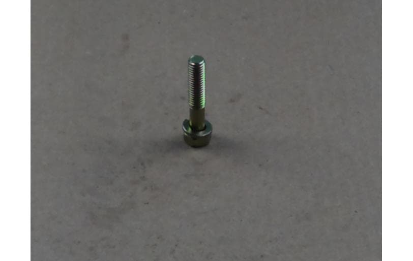 Bolt Hex W/ws