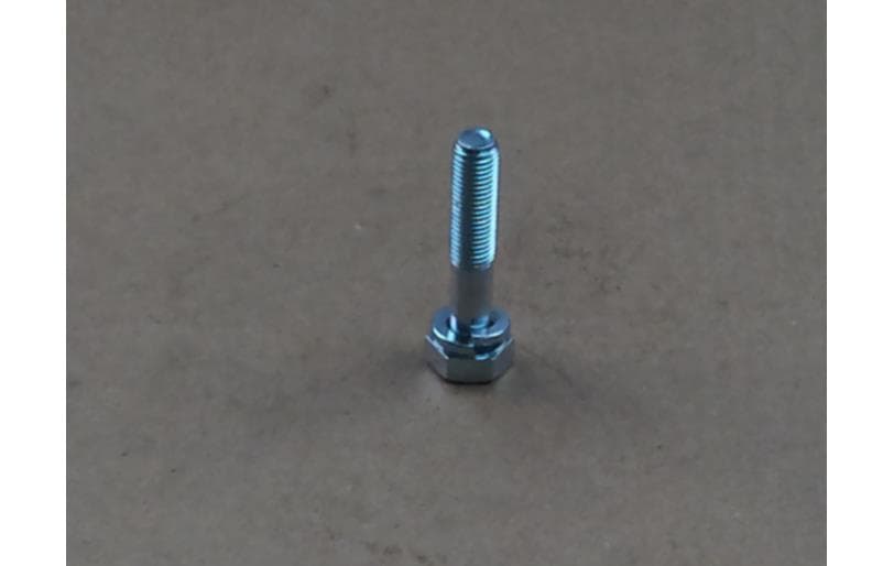 Bolt Hex W/ws
