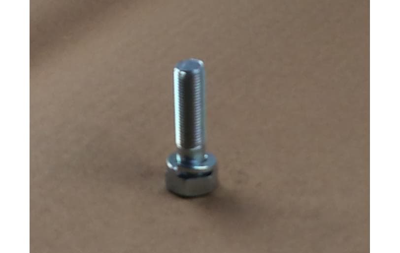 Bolt Hex W/ws