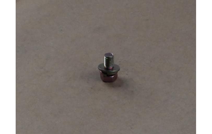 Bolt Hex W/ws