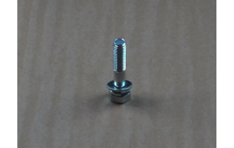 Bolt Hex W/ws