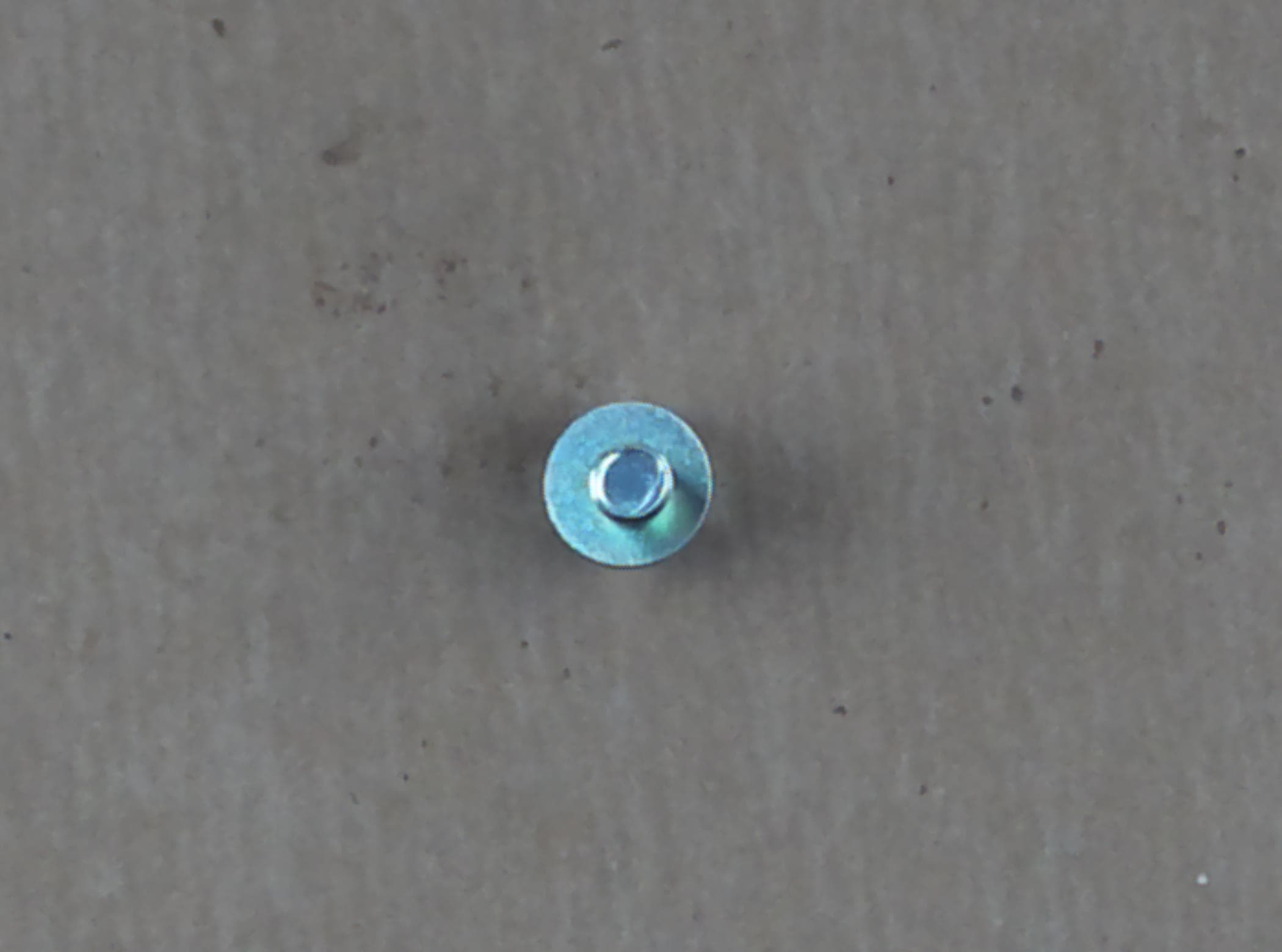 Bolt Hex W/ws