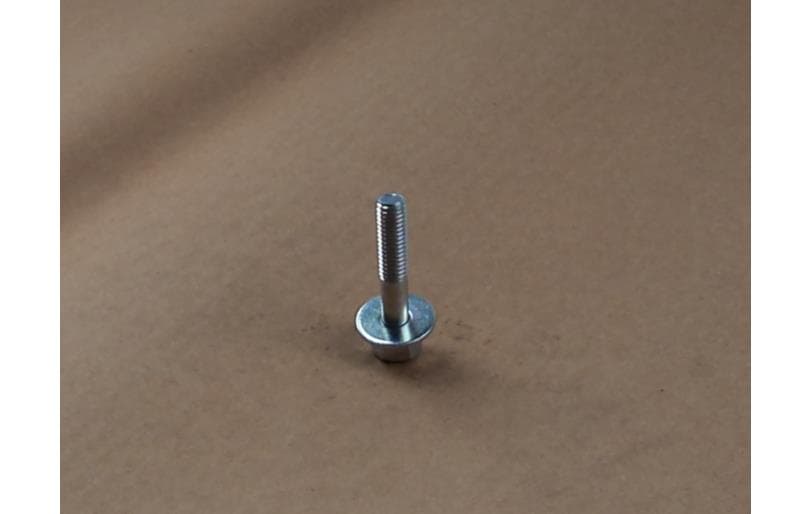 Bolt Hex W/ws