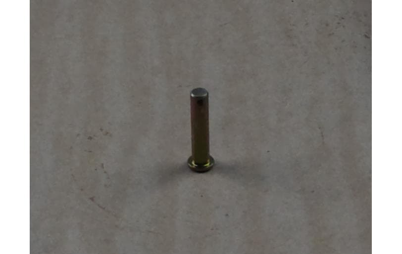Pin Head