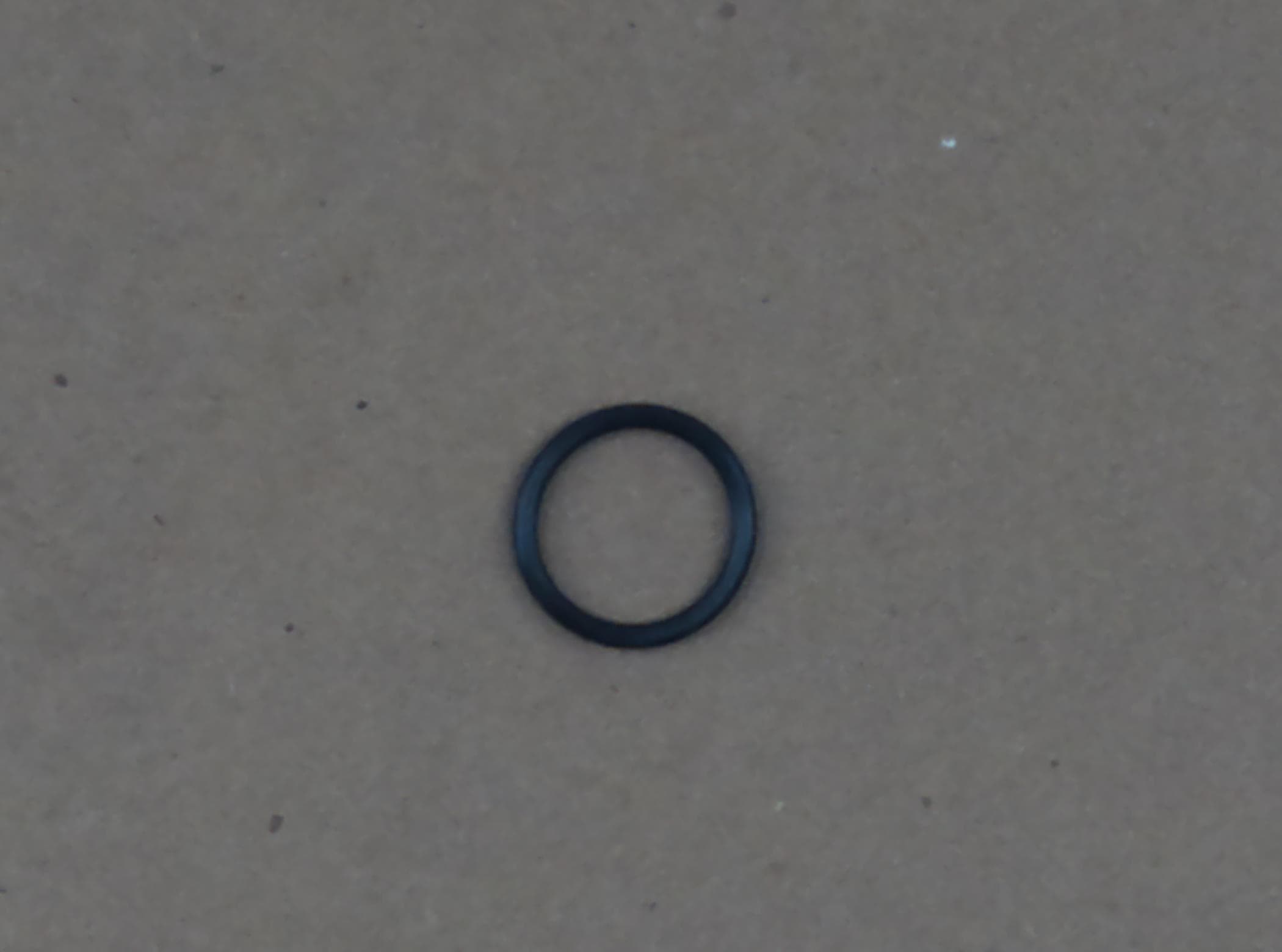 O Ring S802025010