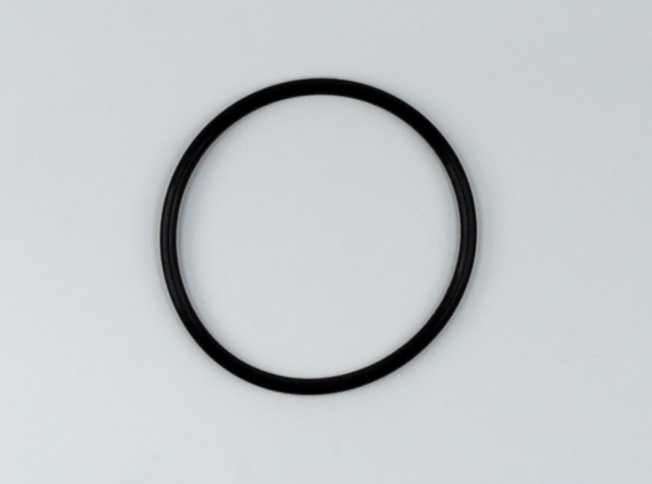 O Ring Piston