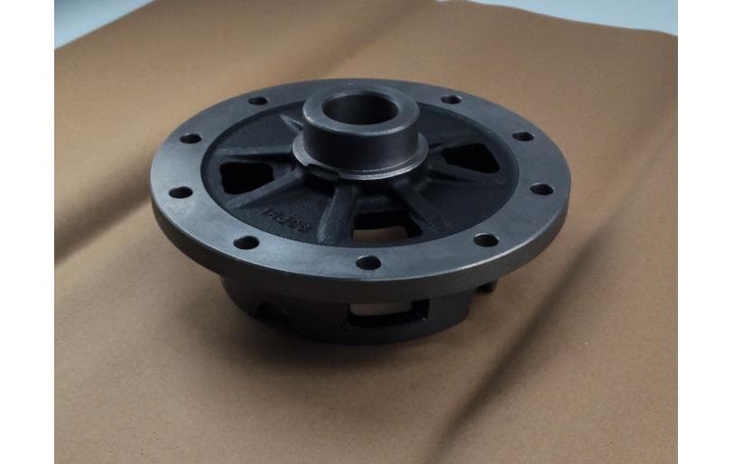 Case Diff(rh) Trg310