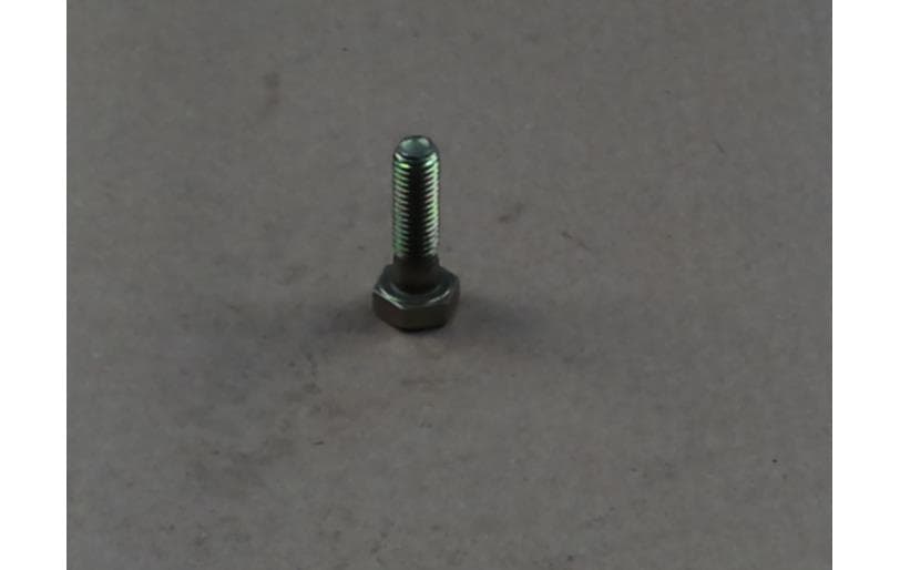 Bolt Hex W/ws