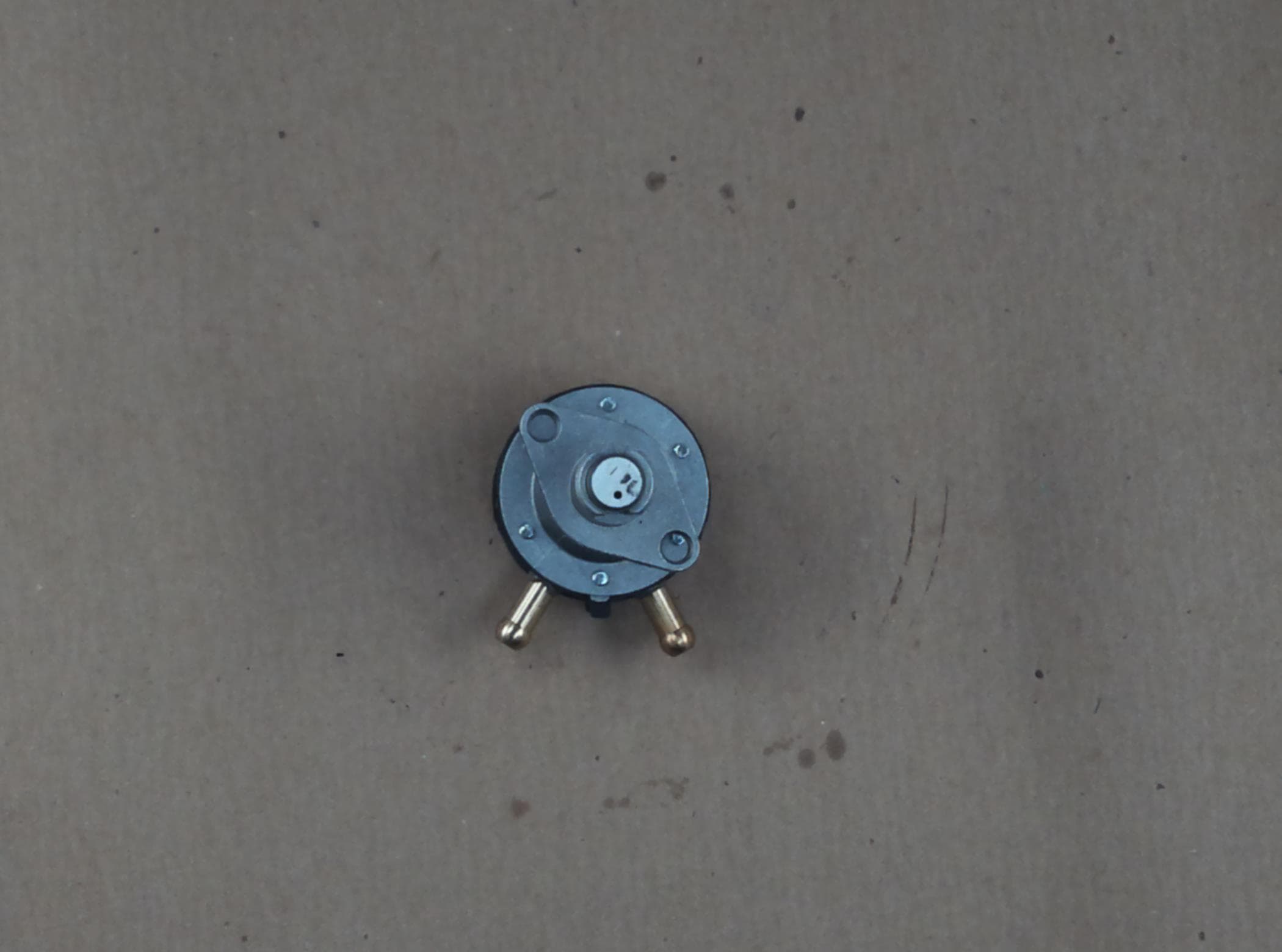 Fuel Pump Assembly