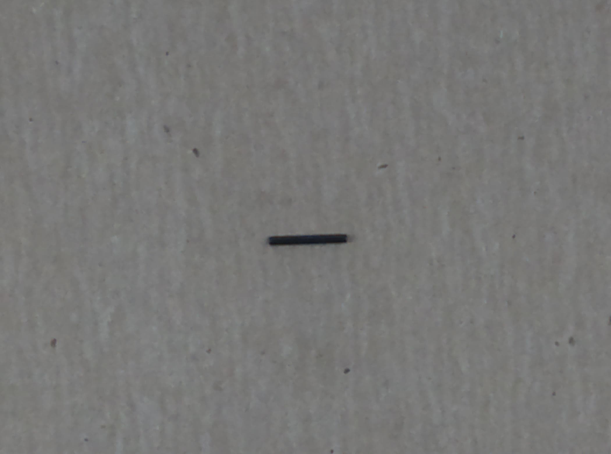 Pin Spring