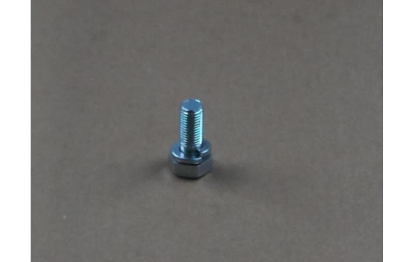 Bolt Hex W/ws