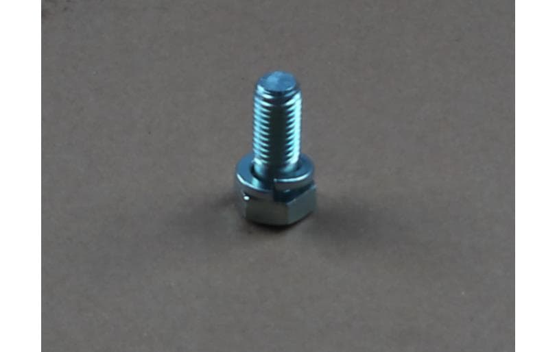 Bolt Hex W/ws