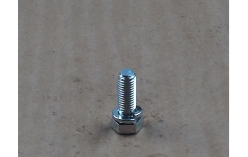 Bolt Hex W/ws