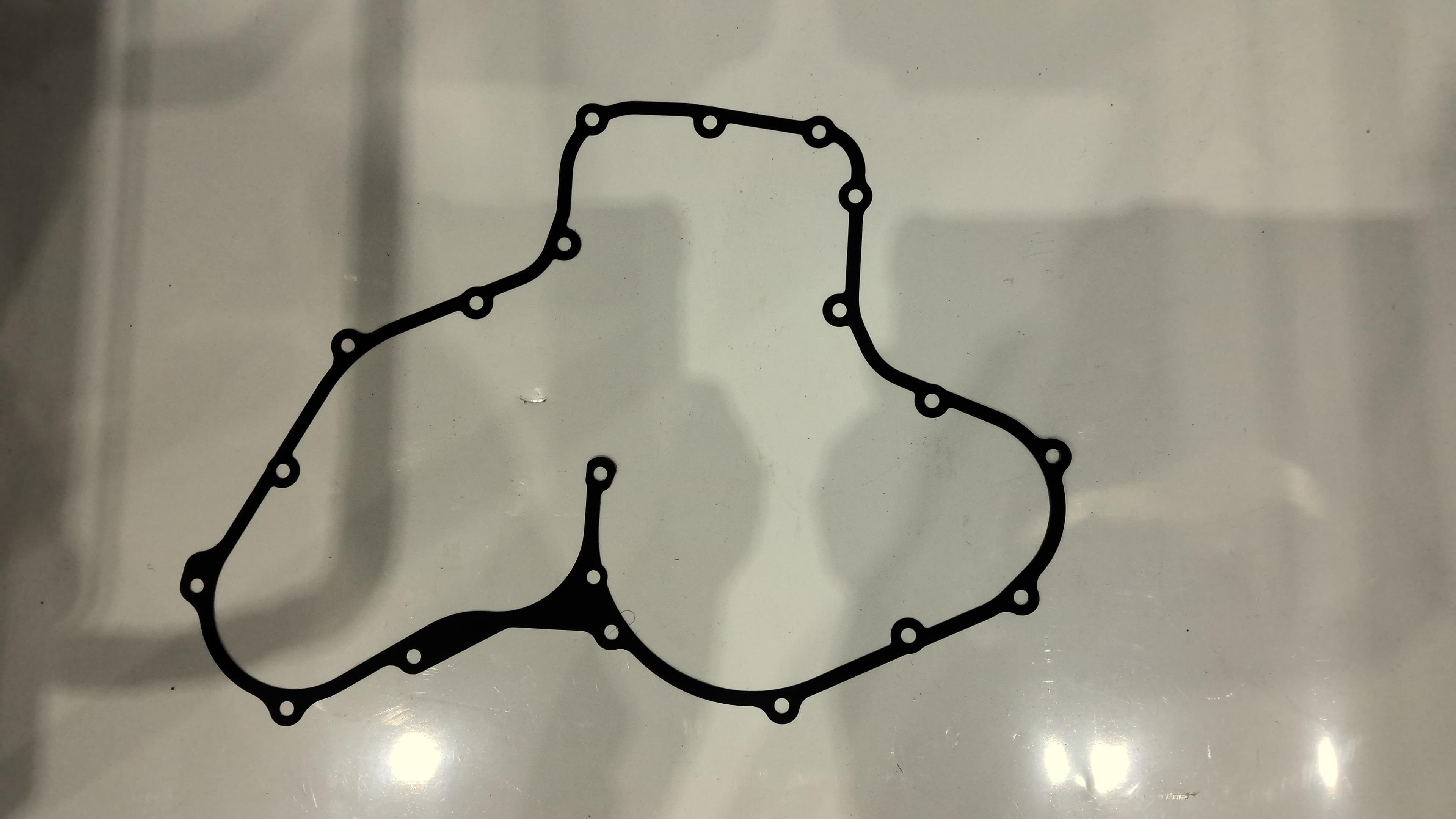 Gasket Timing Case