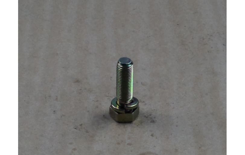 Bolt Hex W/ws