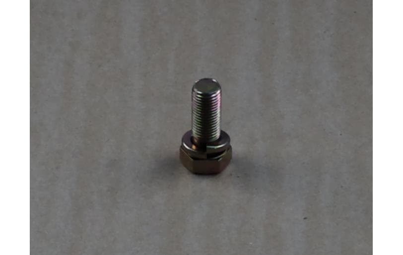 Bolt Hex W/ws