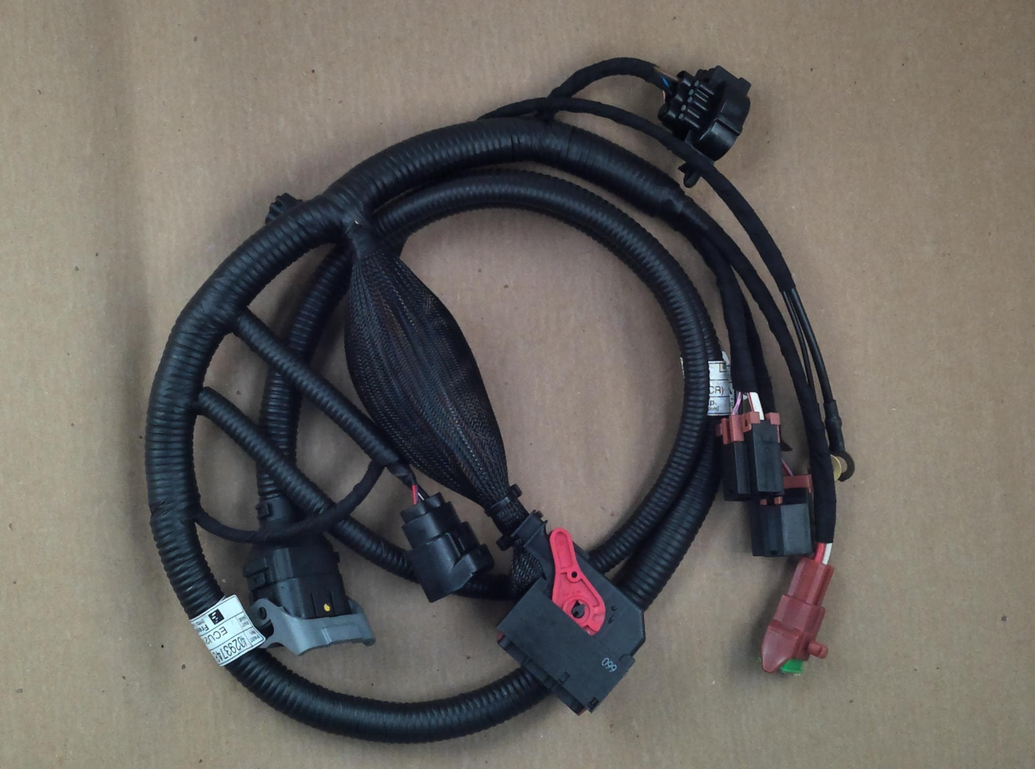 Harness