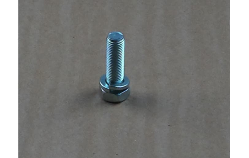 Bolt Hew W/ws S154144543