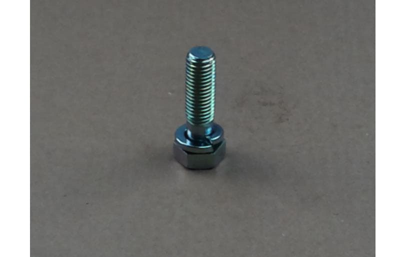 Bolt Hex W/ws