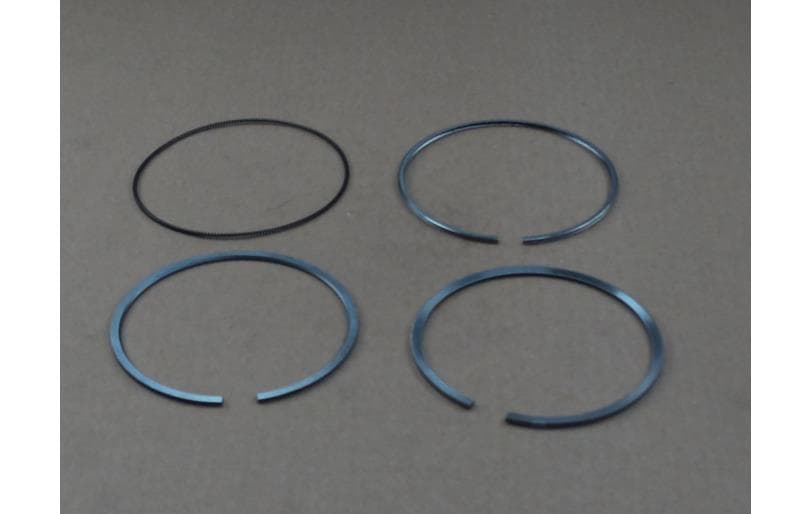 Piston Rings Se Fpt