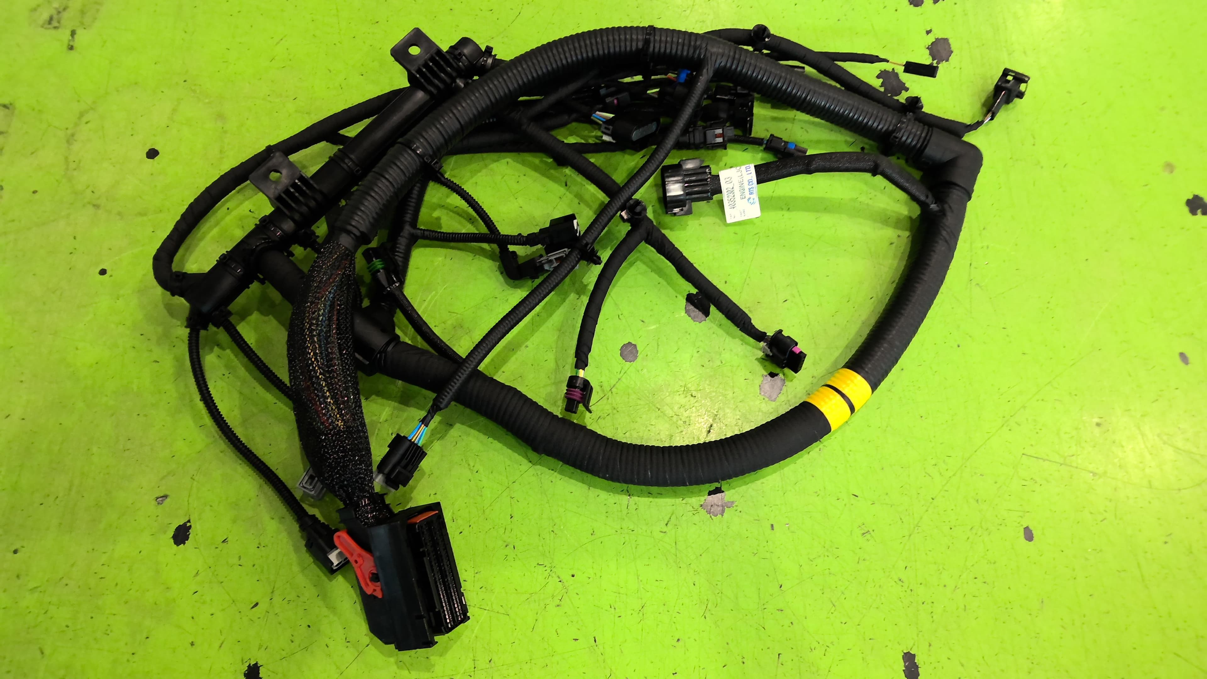 Harness