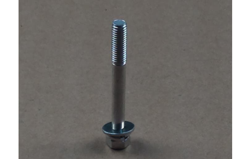 Bolt Fuel Filter