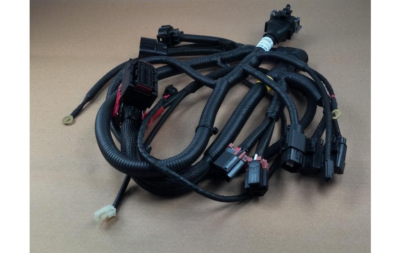 Harness