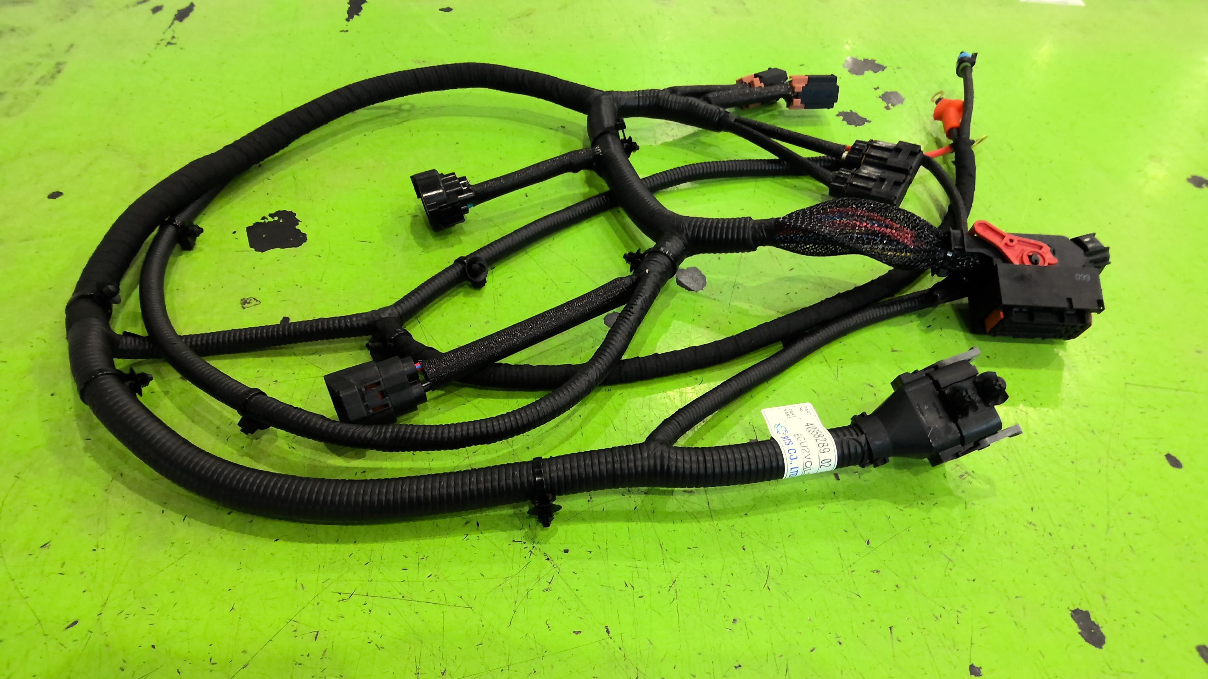 Harness