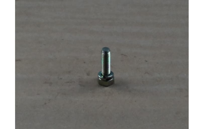 Bolt Hex W/ws