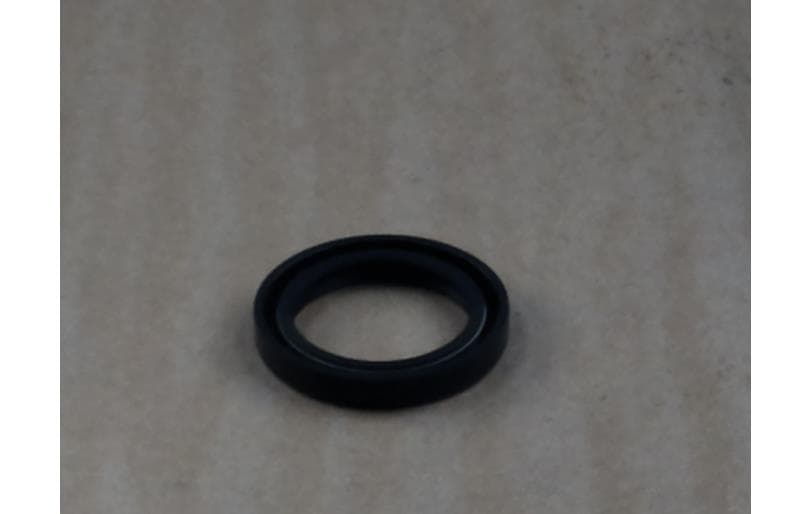 Oil Seal, ?40x?55x8l Tsmm