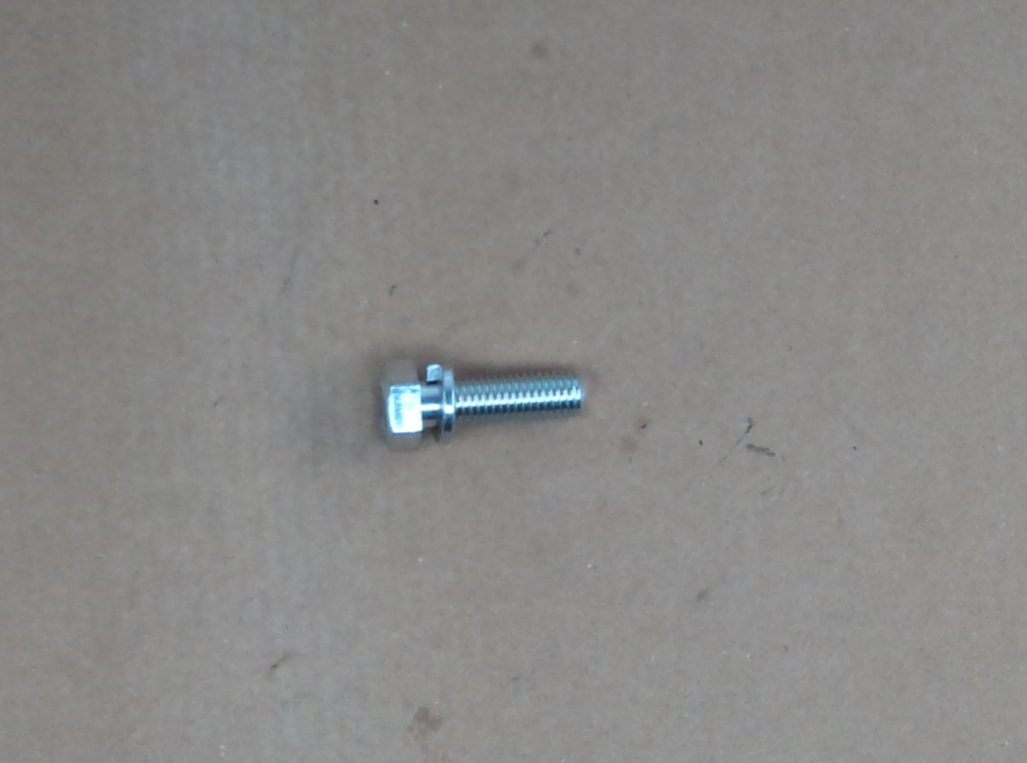 Bolt Hex W/ws