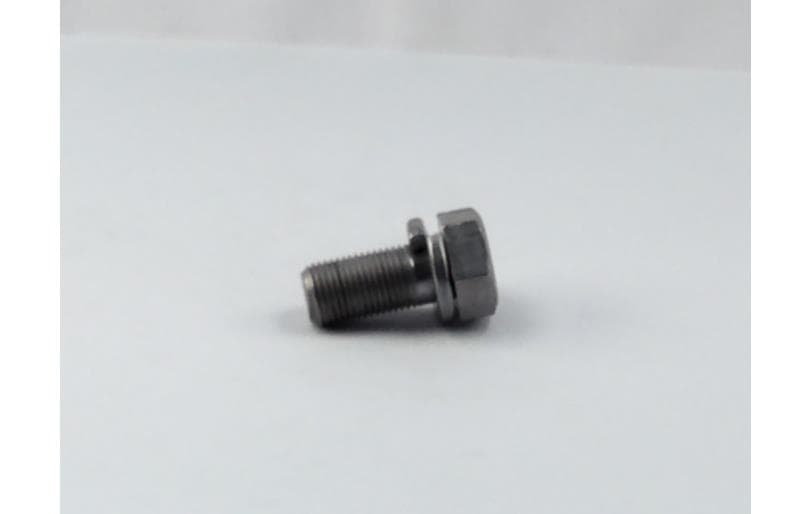 Bolt Hex W/ws