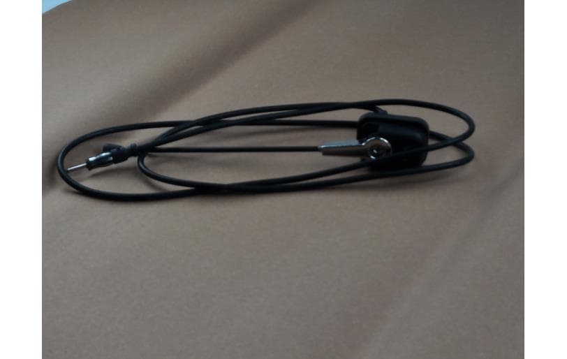 Antenna Audio(150mm) Trg750