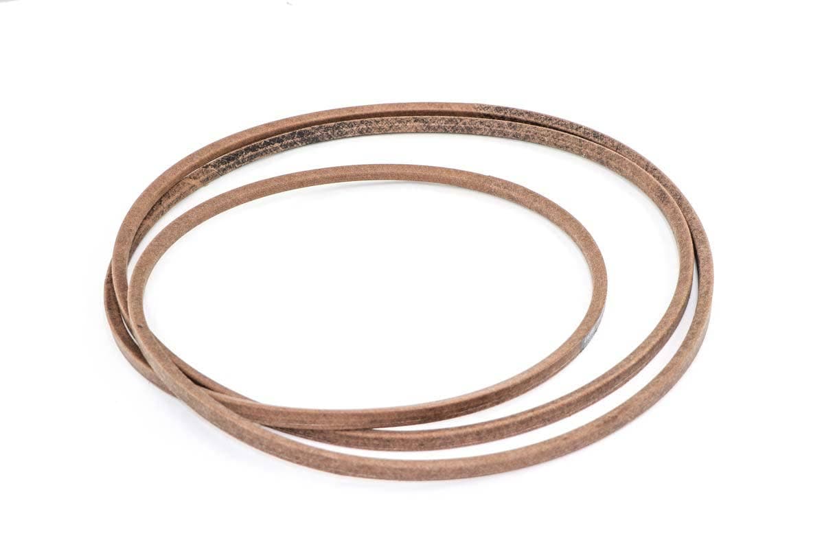 Belt-Hb Section