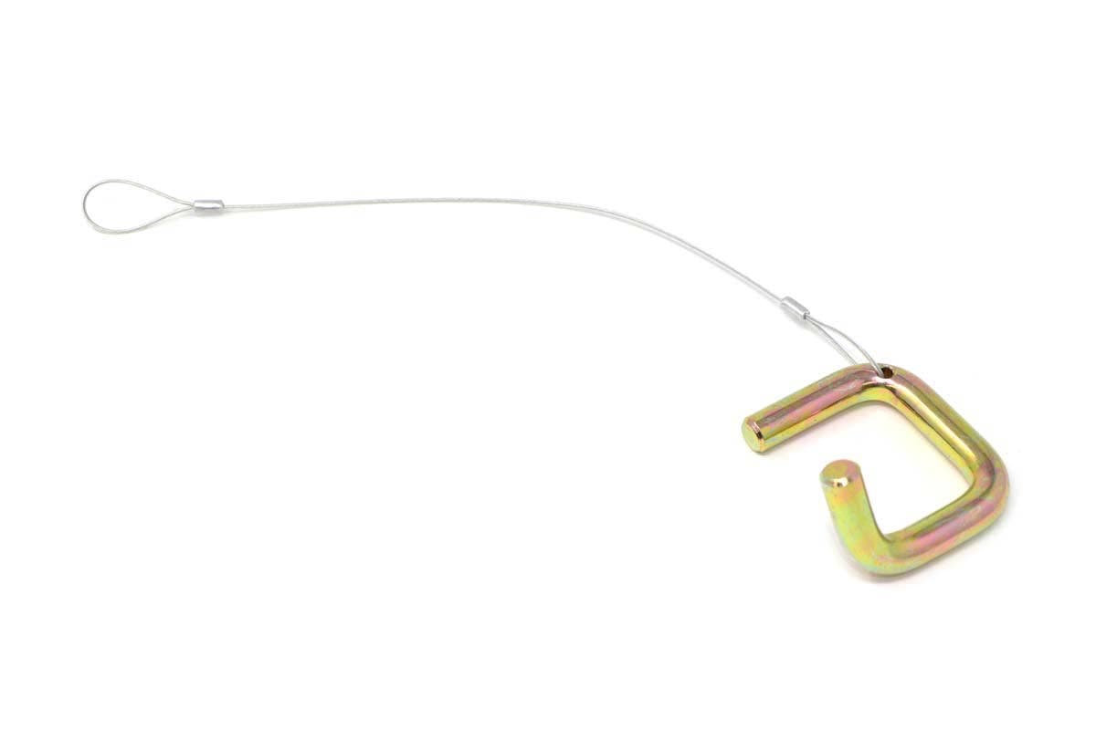 Assembly-Pin And Lanyard