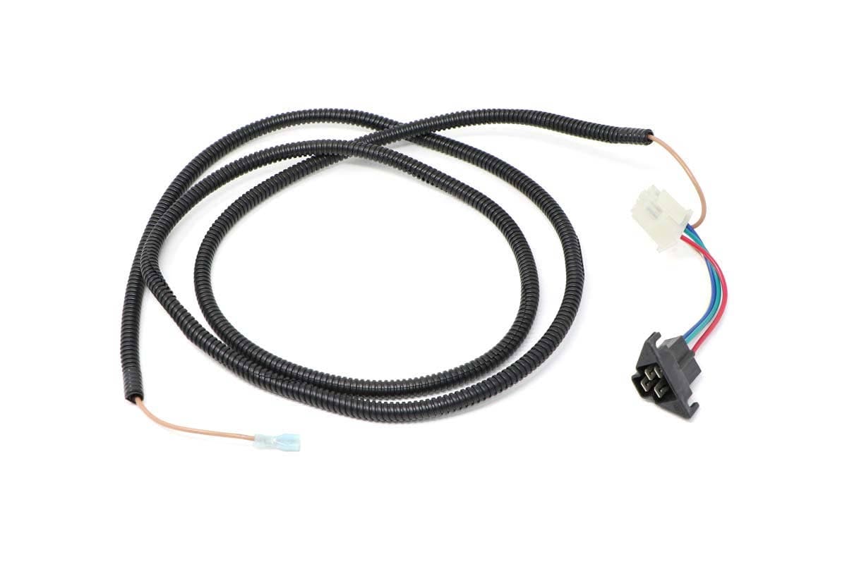 Harness-Jumper, Efi Engine