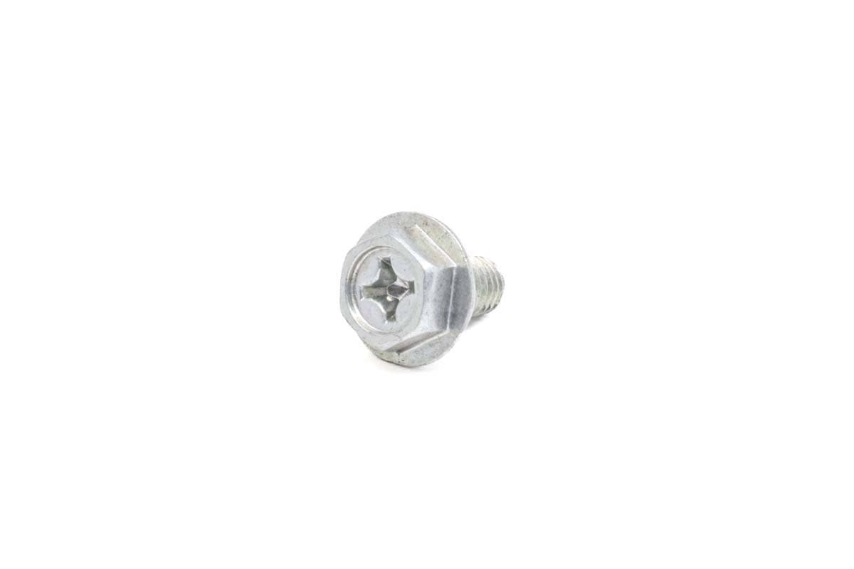 Briggs P/N 805448 Screw