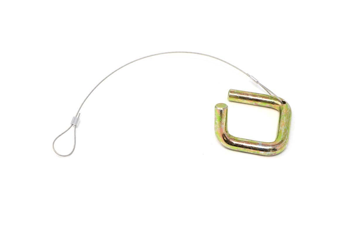 Assembly-Pin And Lanyard